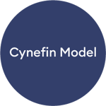 Cynefin Model